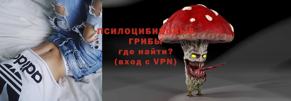спиды Алексеевка