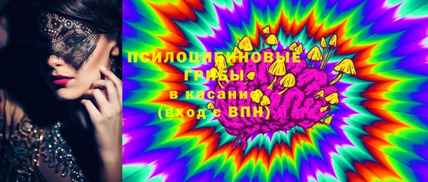 герыч Алексин