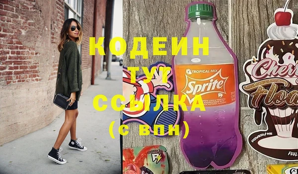тгк Алзамай
