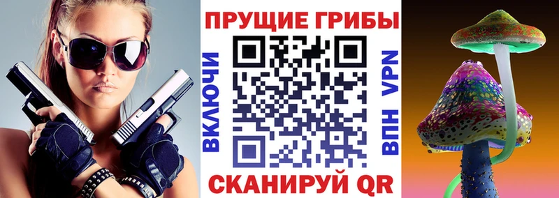 shop формула  Санкт-Петербург  Псилоцибиновые грибы MAGIC MUSHROOMS 